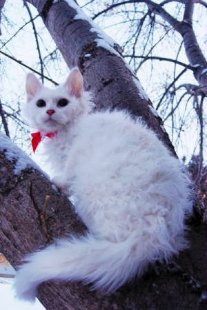 liljackfrost4mo2.jpg
